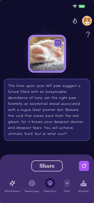 Your cat's fortune revealed