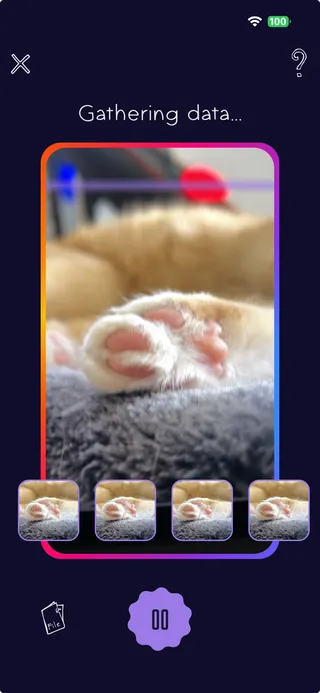 Scan your cat's paw