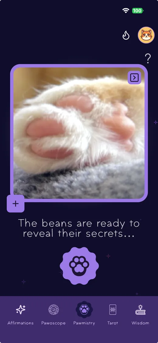 Pawmistry screenshot